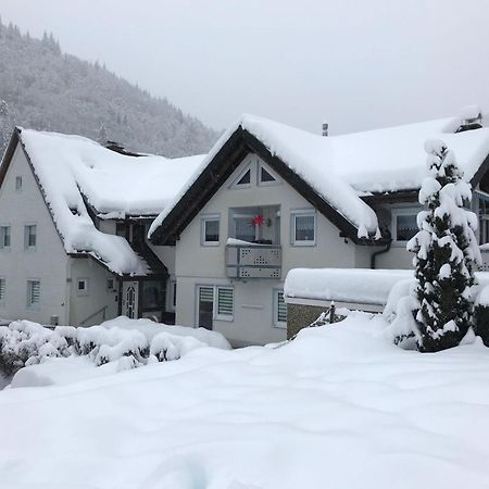 Ferienwohnung Ella, 95Qm, Terrasse Todtnau Buitenkant foto