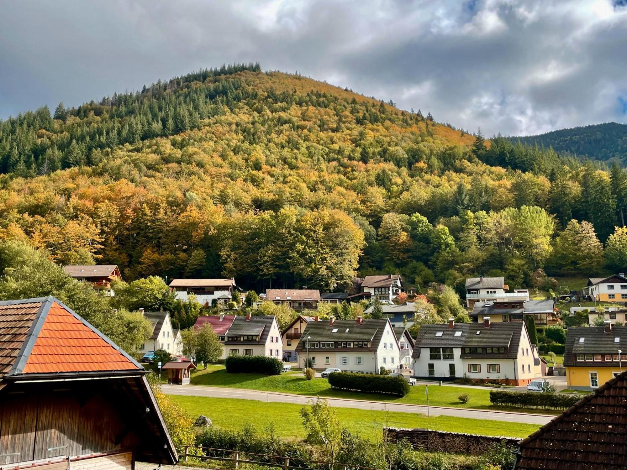 Ferienwohnung Ella, 95Qm, Terrasse Todtnau Buitenkant foto