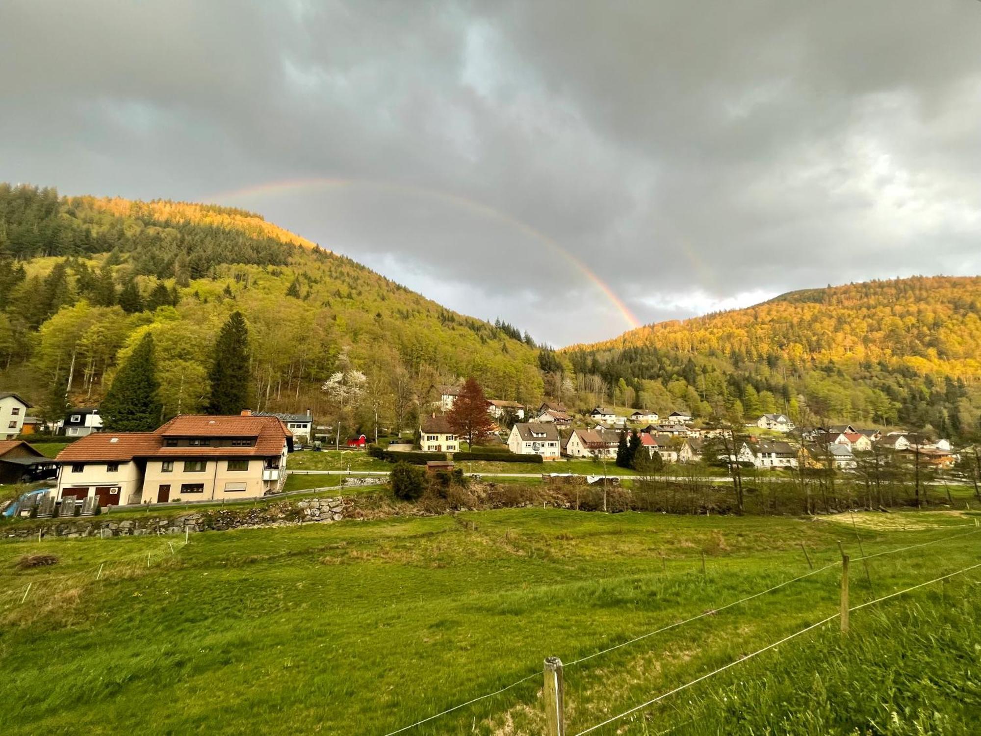 Ferienwohnung Ella, 95Qm, Terrasse Todtnau Buitenkant foto