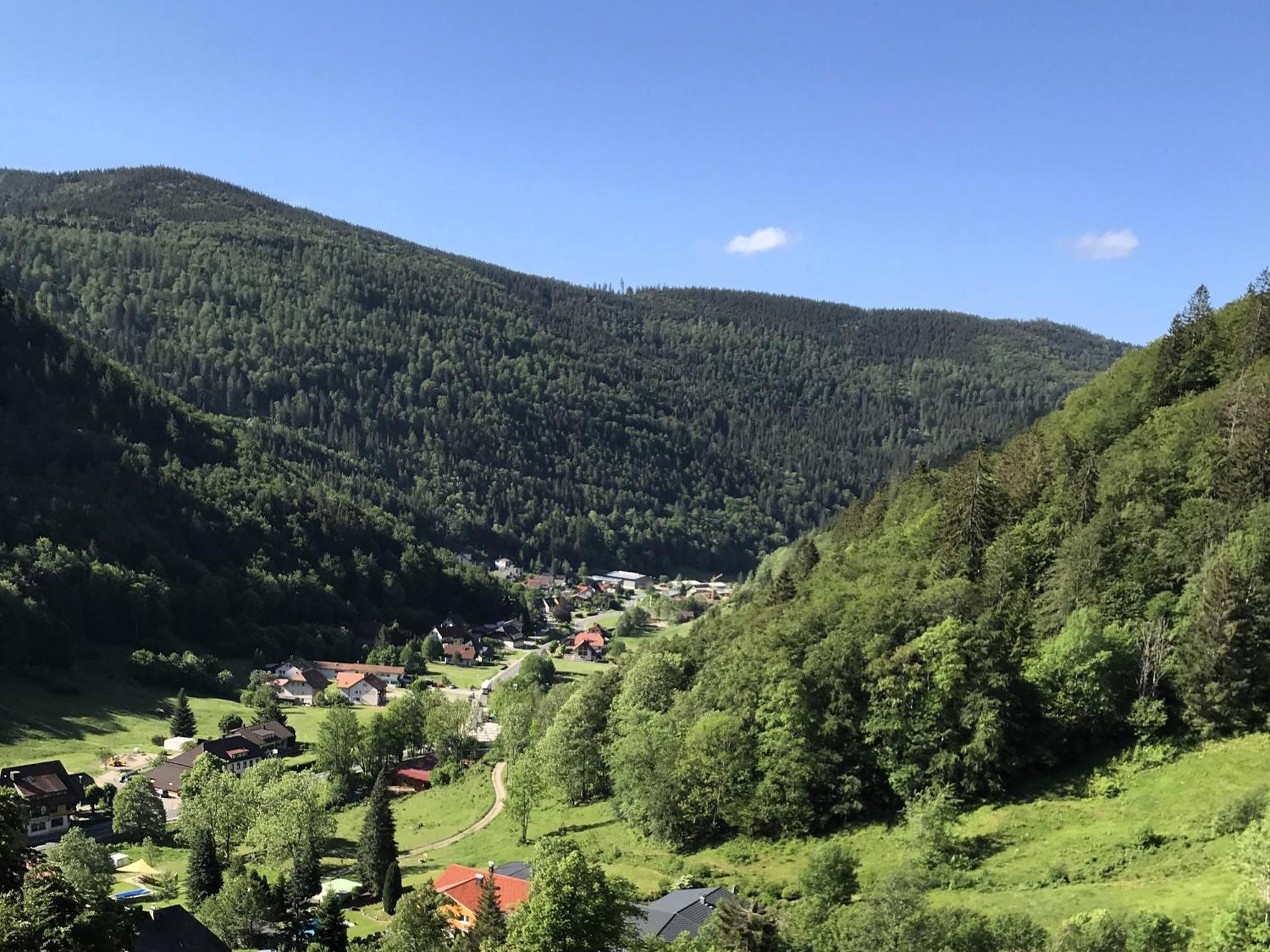 Ferienwohnung Ella, 95Qm, Terrasse Todtnau Buitenkant foto